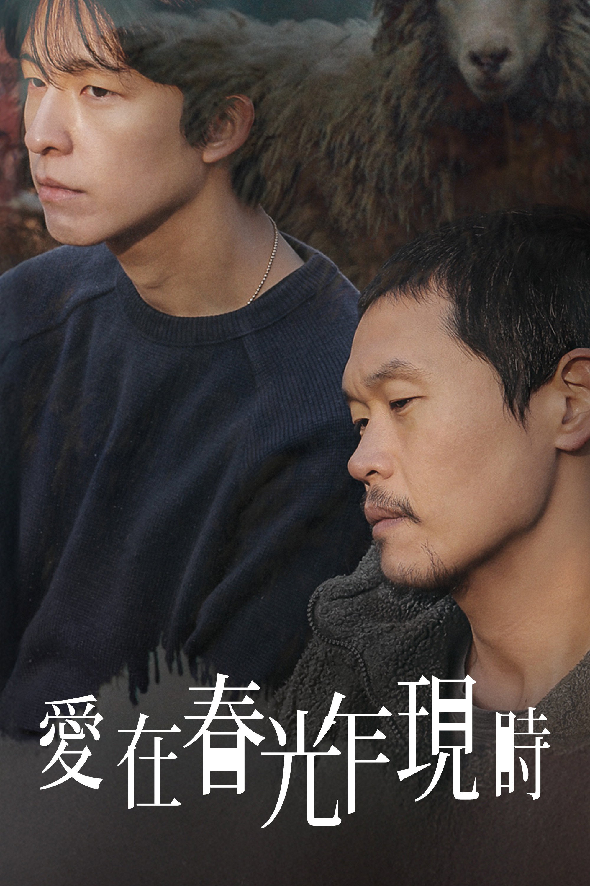 随便哪儿，只要一起